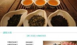爆料茶叶视频教程大全集,揭秘茶叶冲泡与品鉴的奥秘