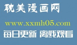 爆料河北密访视频大全下载,视频大全下载背后的真相与内幕