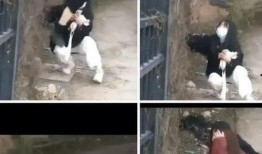 国内学校故事爆料大全最新,国内学校故事爆料大全精彩回顾